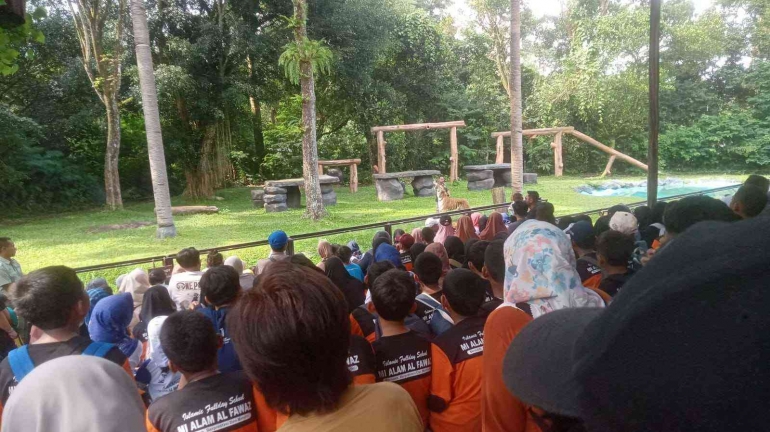 foto-pertunjukkan-harimau-11zon-696a57dced64151c1e747112